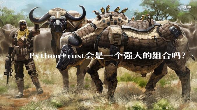 Python+rust会是一个强大的组合吗？