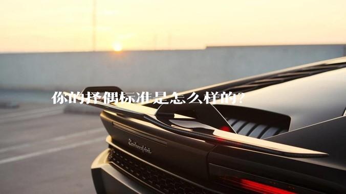 你的择偶标准是怎么样的？